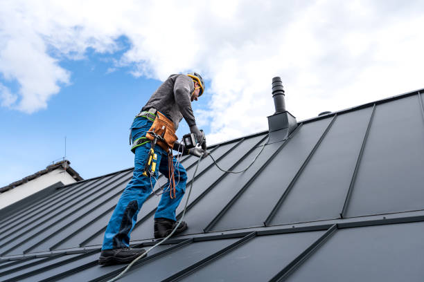Best Solar Panel Roofing Installation  in Dumas, TX